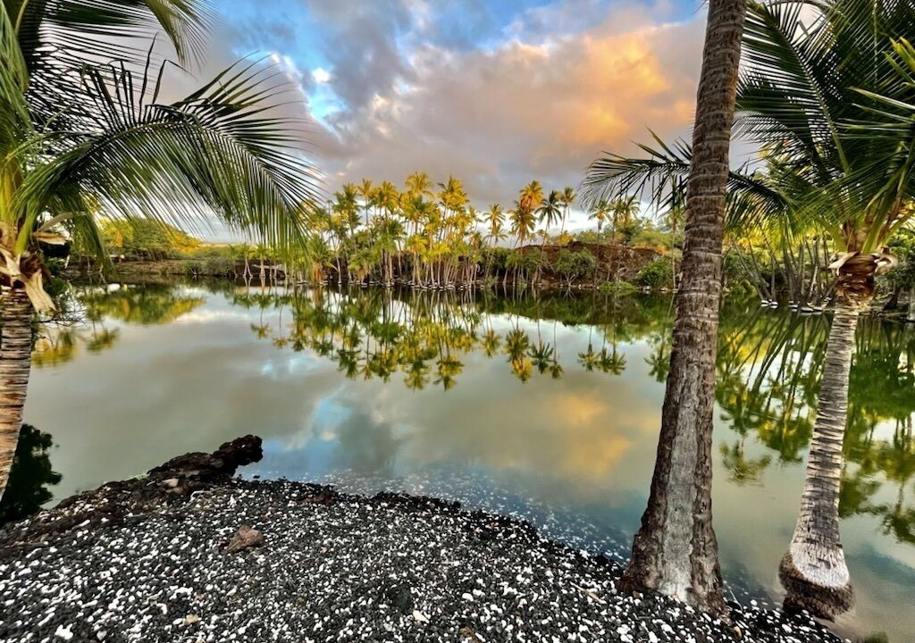 Photo of Outdoor in Kamuela