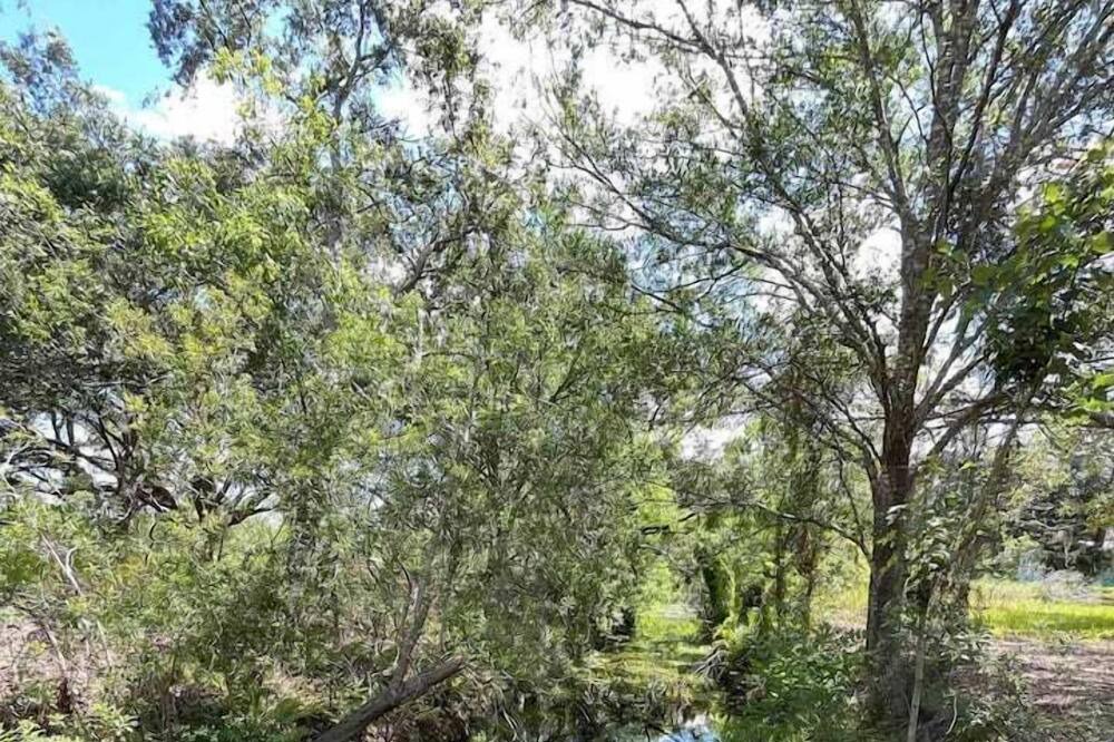 Photo of Others in Braden River