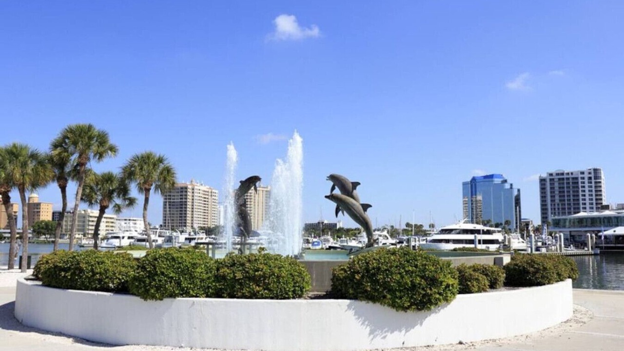 Photo of Others in Central Sarasota