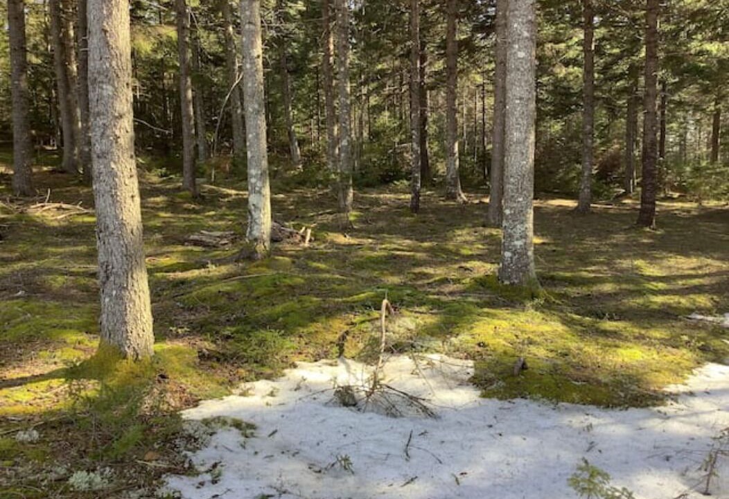 Photo of Others in South Gouldsboro