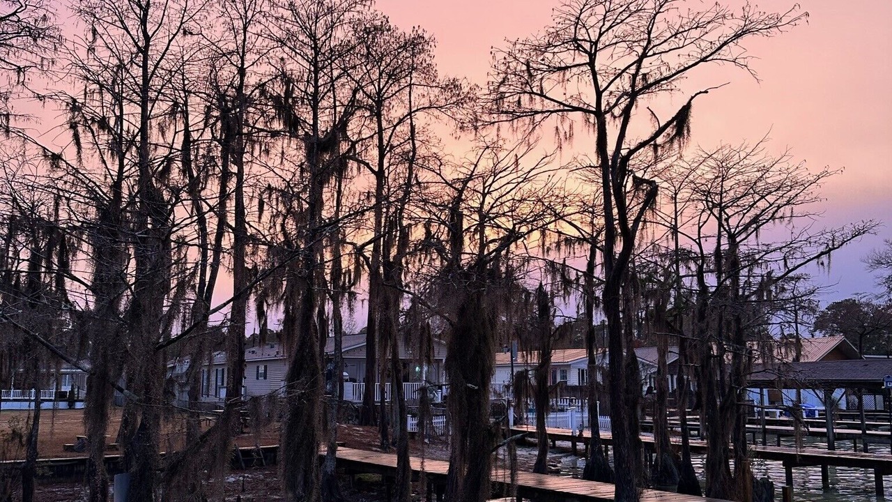 Photo of Outdoor in White Lake