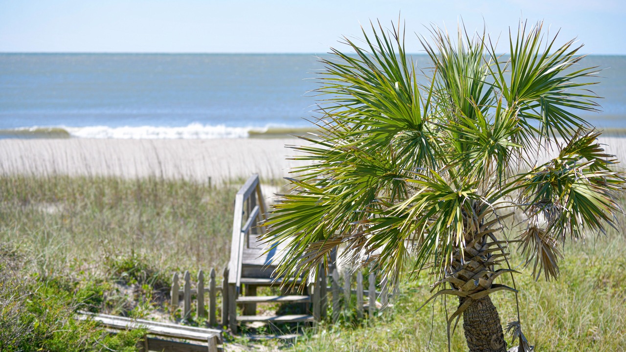 Photo of Others in Holden Beach