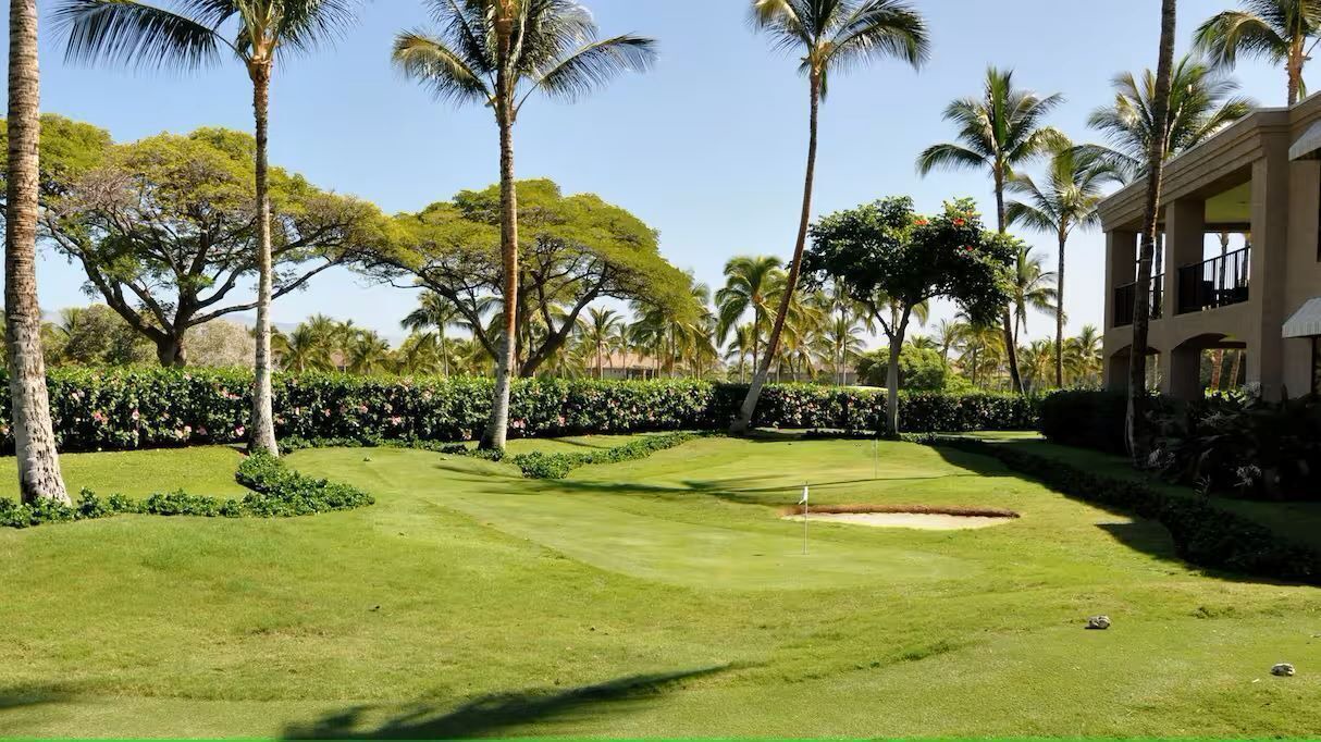 Photo of Others in Waikoloa