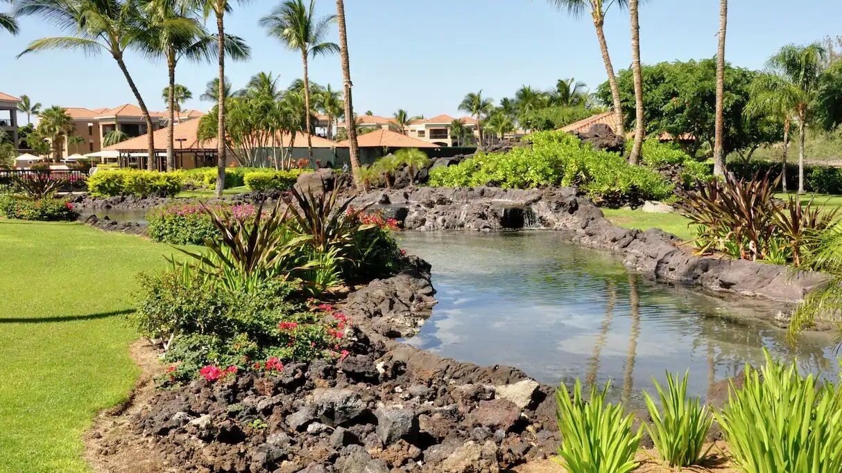 Photo of Outdoor in Waikoloa