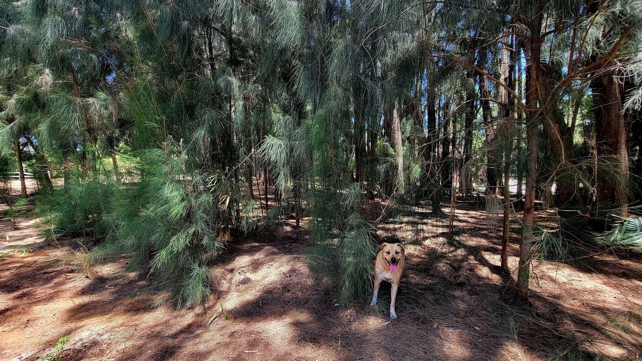 Photo of Others in Seminole