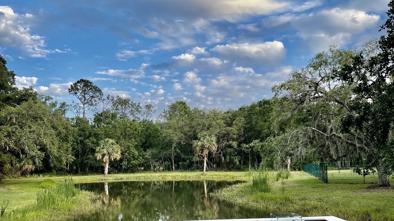 Photo of Outdoor in Braden River