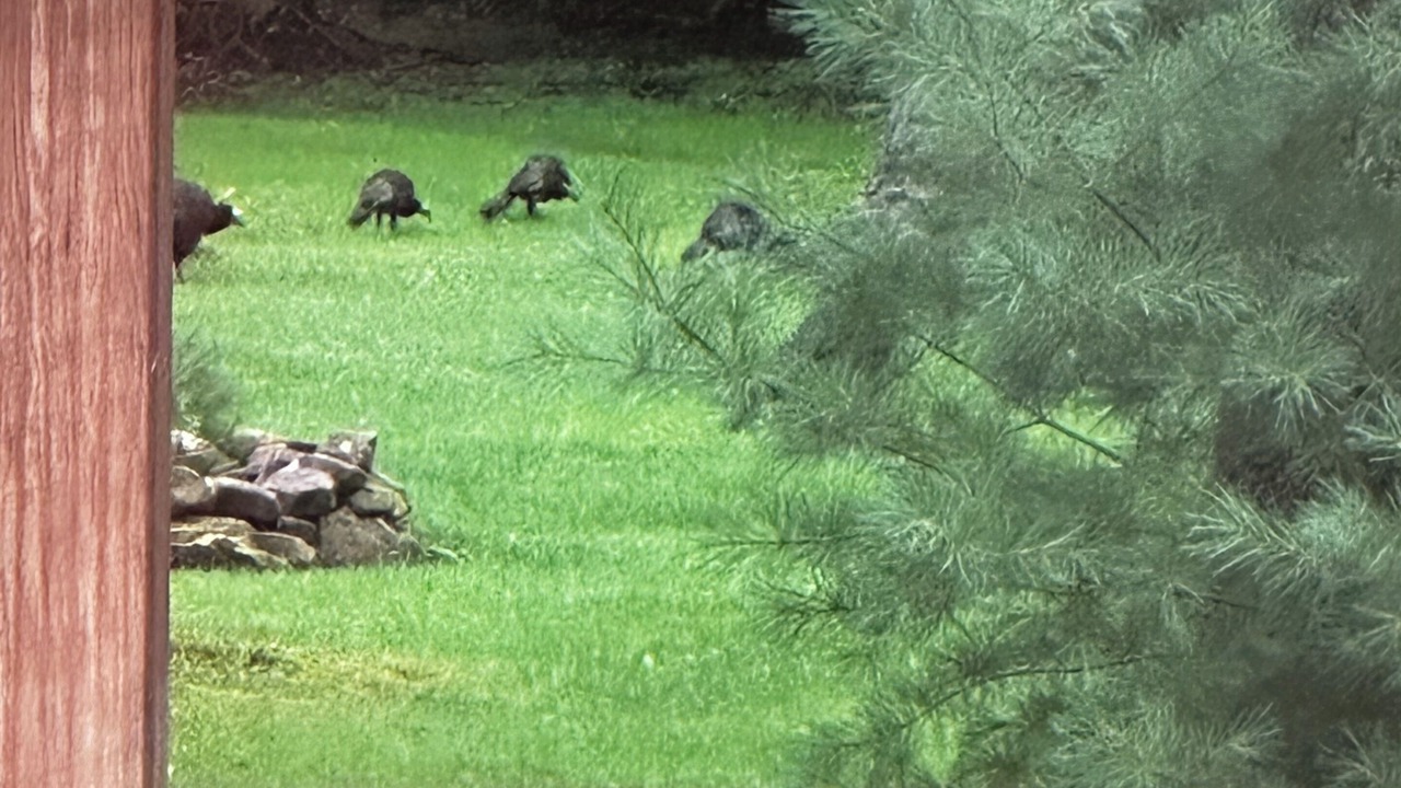 Photo of Others in Clarington