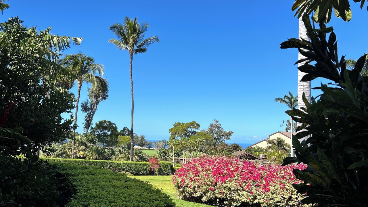 Photo of Outdoor in Waikoloa Village