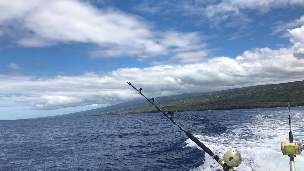 Photo of Others in Waikoloa Village