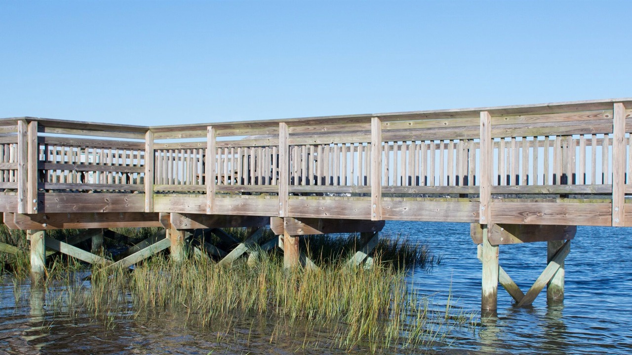 Photo of Others in Cherry Grove Beach