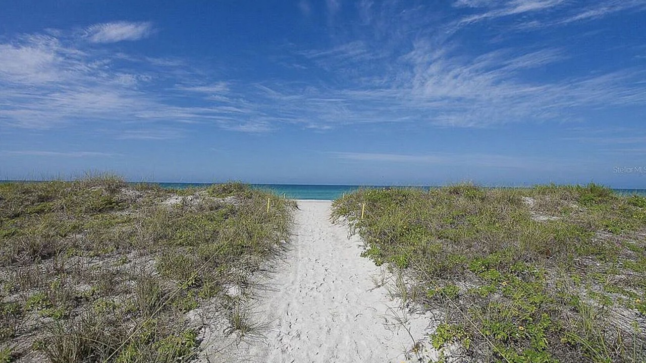 Photo of Others in Bay Isles