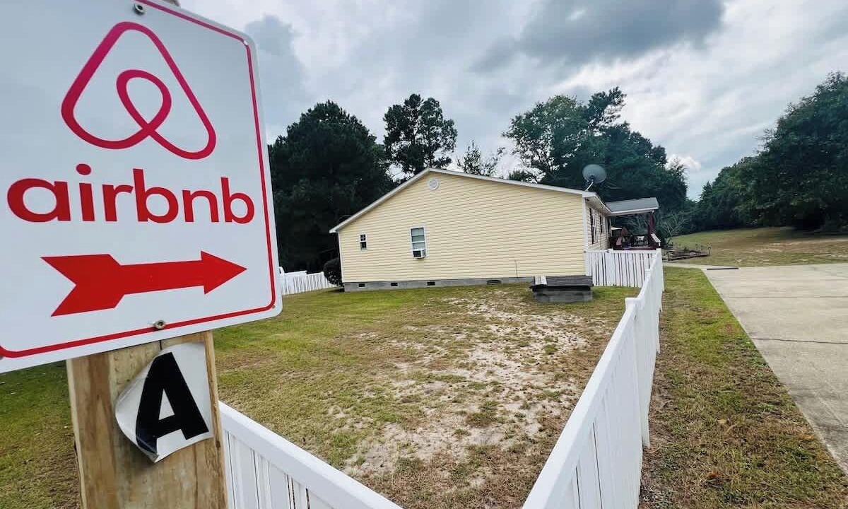 Photo of Others in Pine Forest