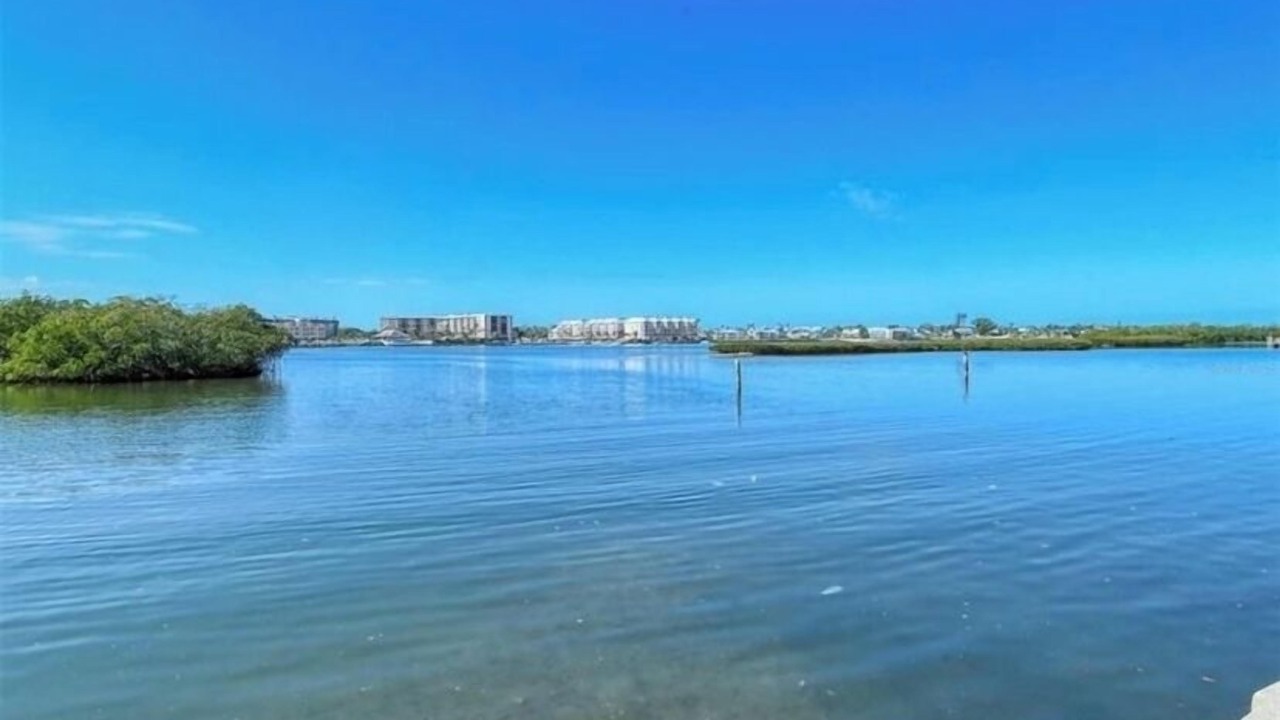 Photo of Others in Sarasota