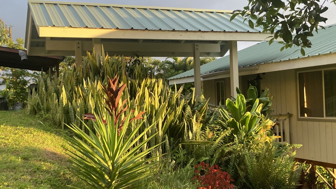 Photo of Outdoor in Captain Cook