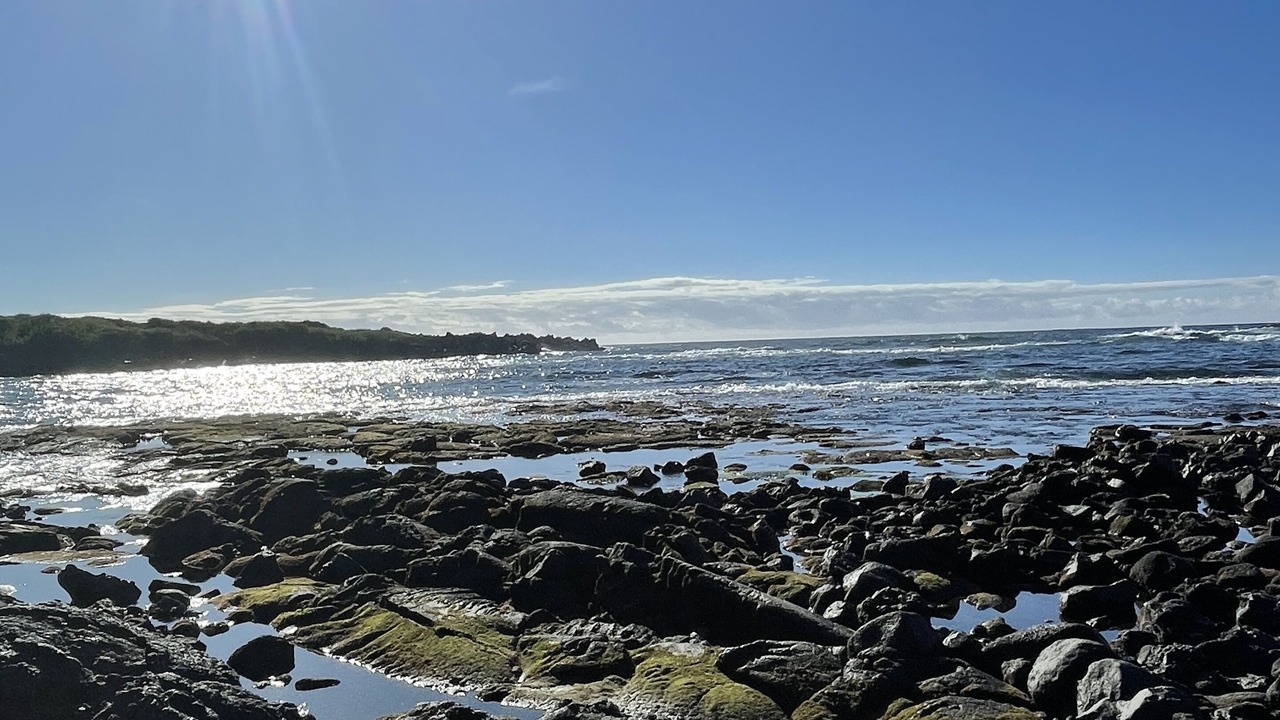 Photo of Others in Ocean View