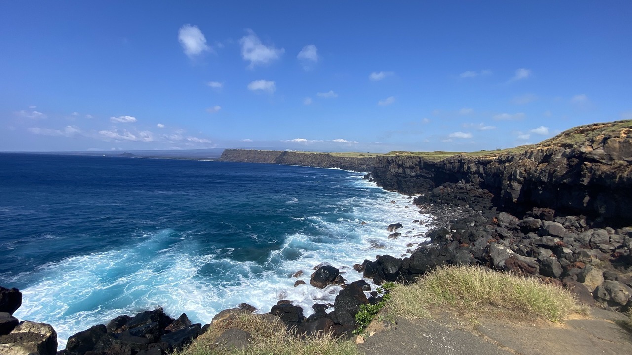 Photo of Others in Ocean View
