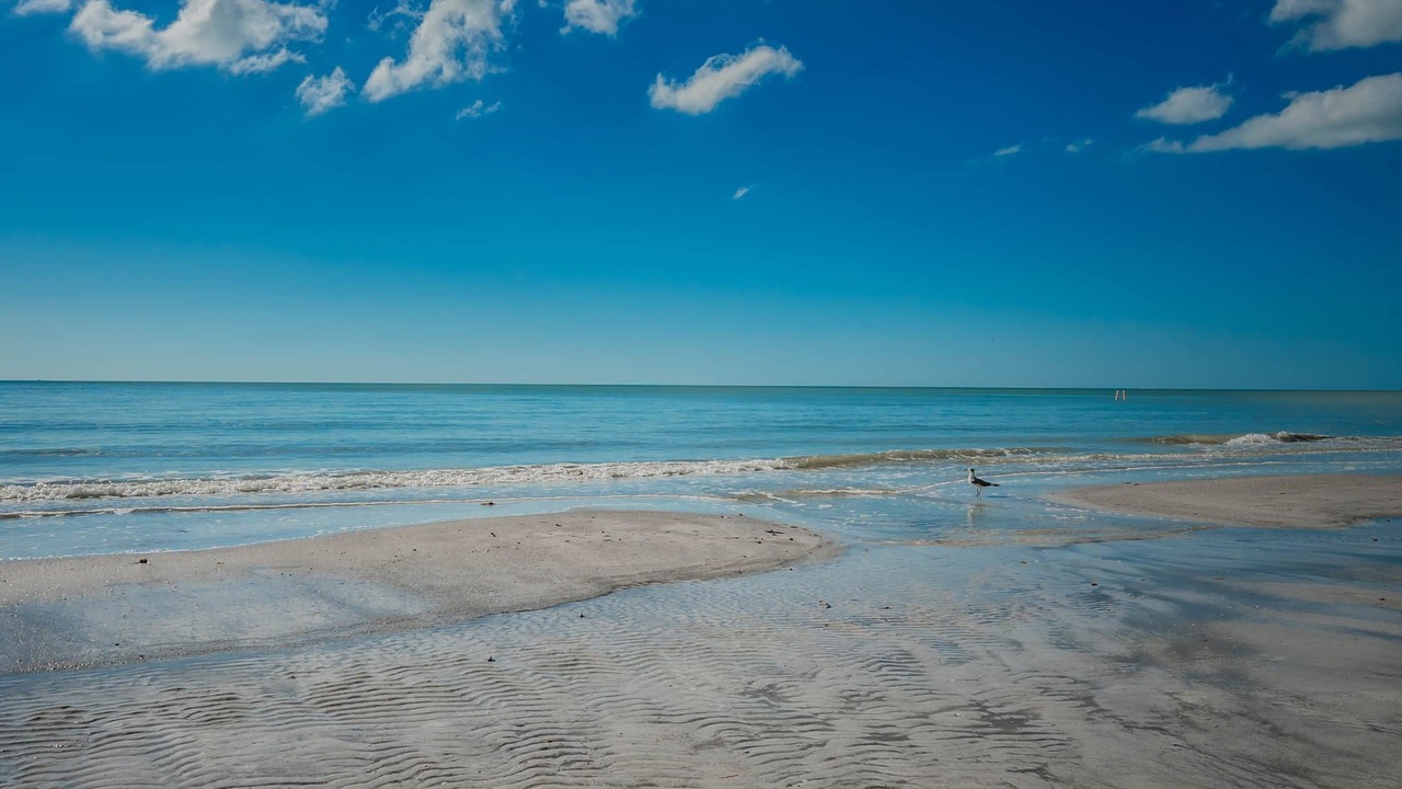 Photo of Others in Redington Shores