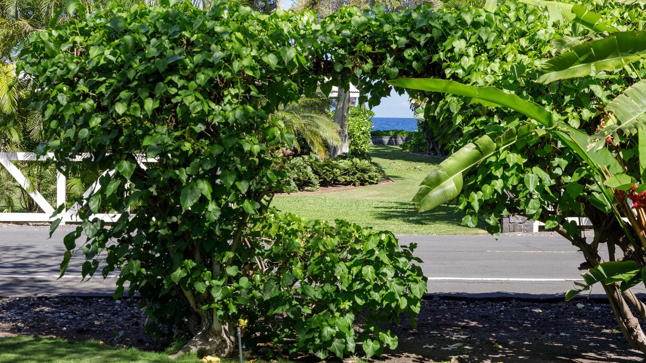 Photo of Outdoor in Kamuela
