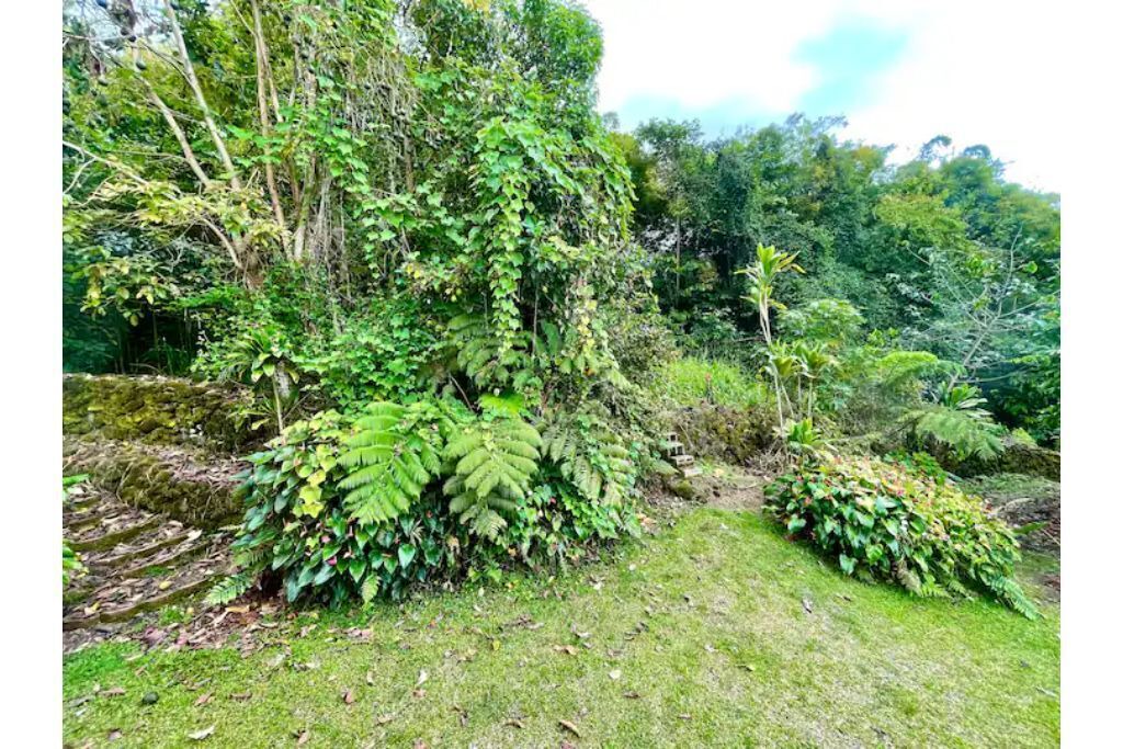 Photo of Outdoor in Holualoa
