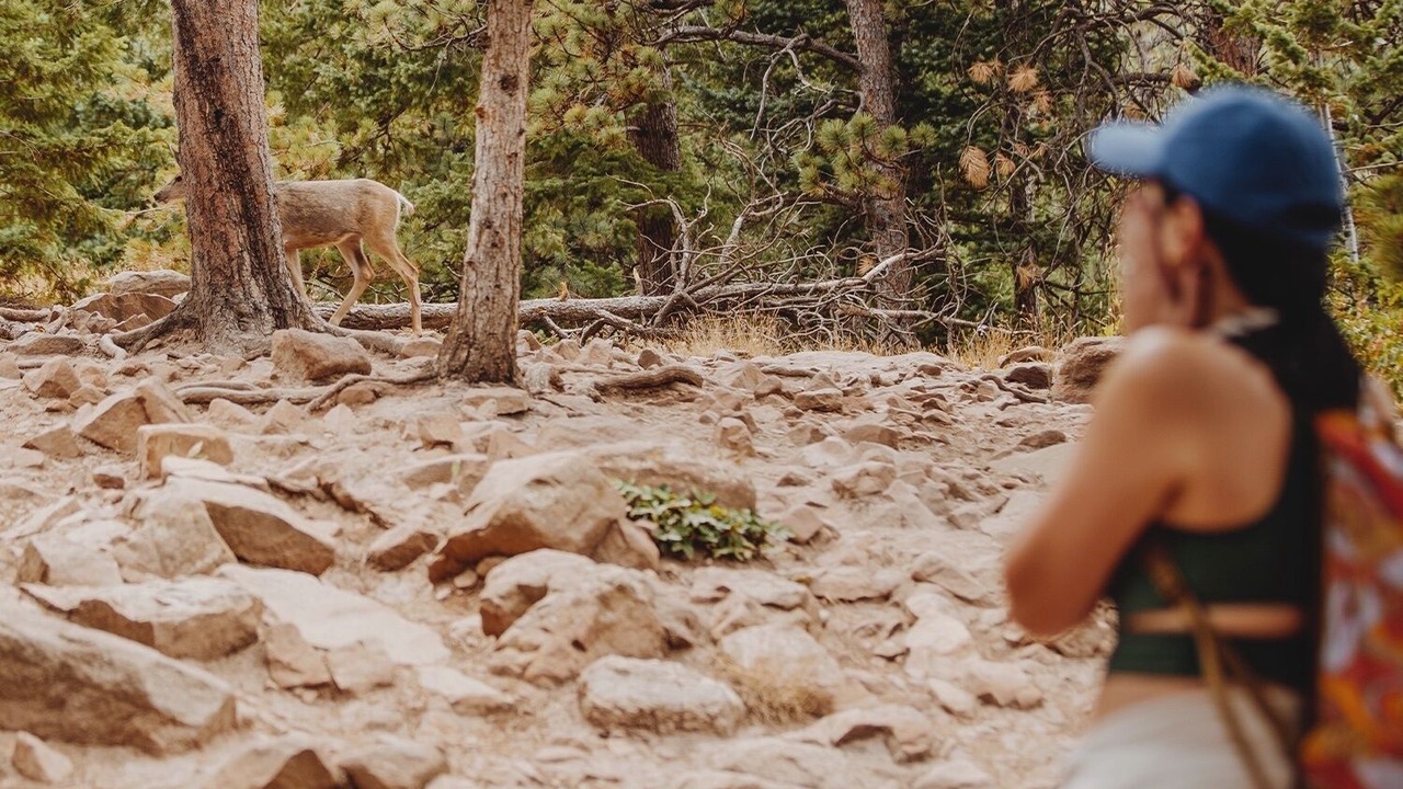 Photo of Outdoor in Peak 8