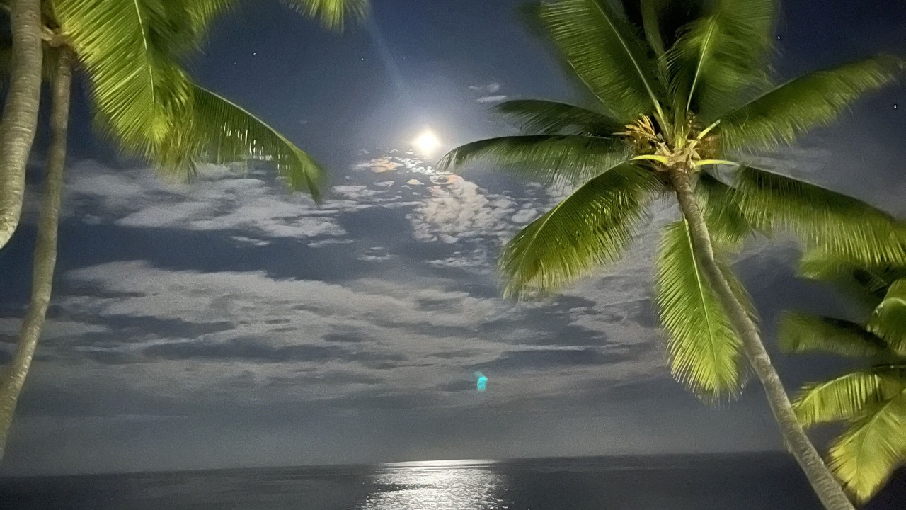 Photo of Others in Kailua-Kona