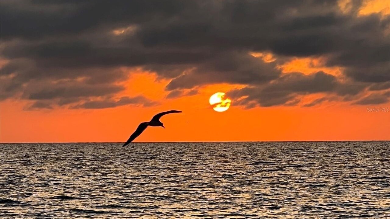 Photo of Outdoor in Capri Isle