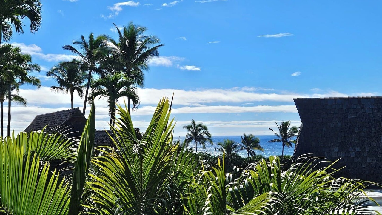 Photo of Outdoor in Punaluu