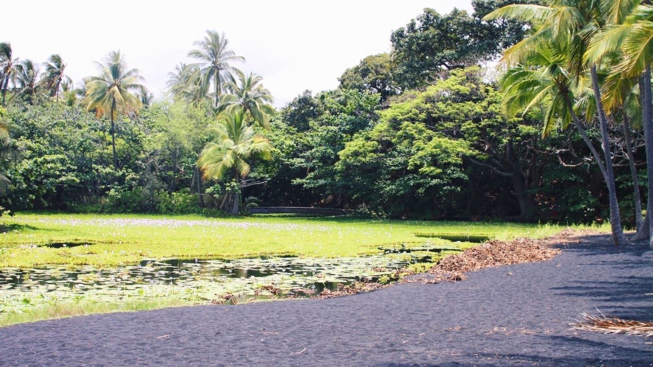 Photo of Others in Punaluu
