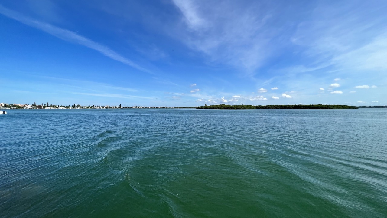 Photo of Others in Capri Isle