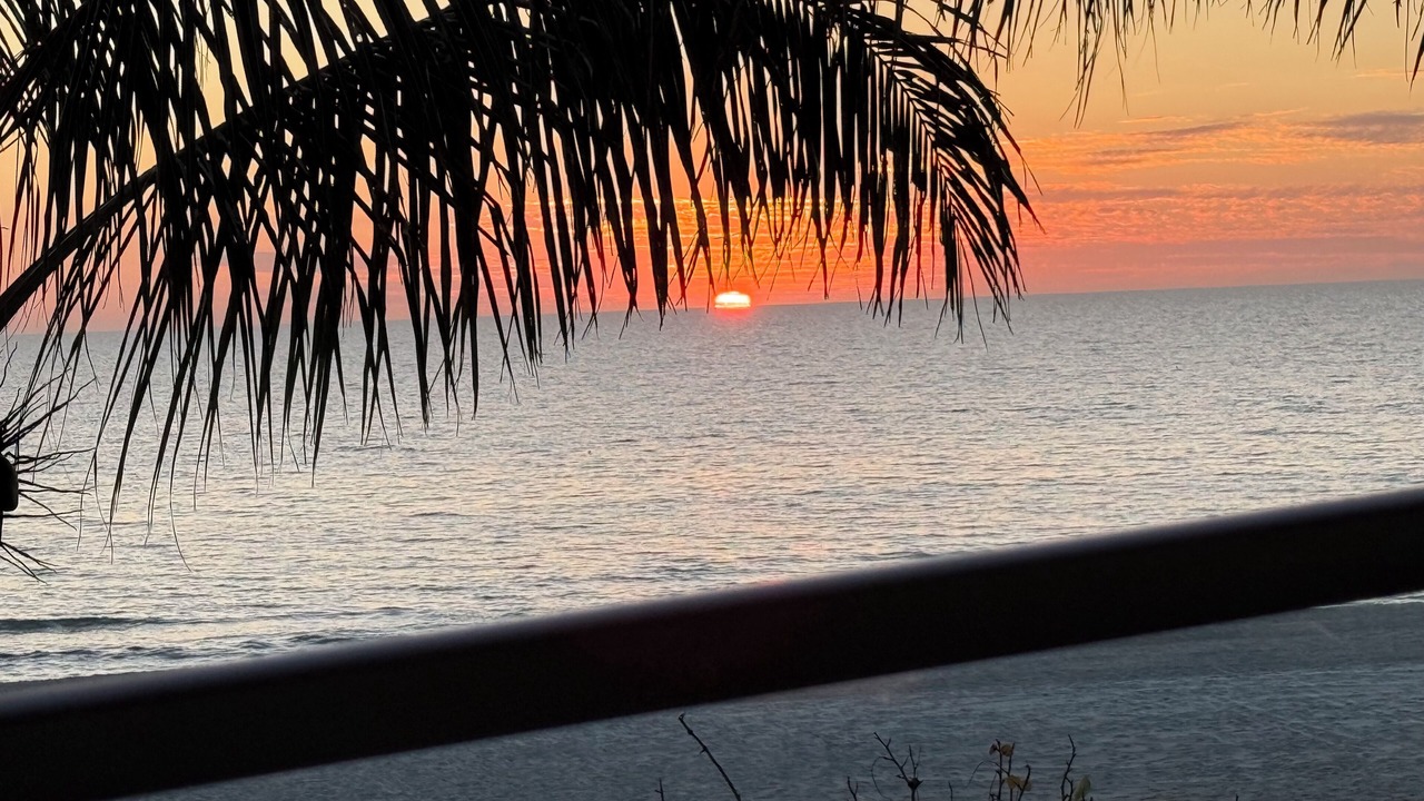 Photo of Others in Longboat Key