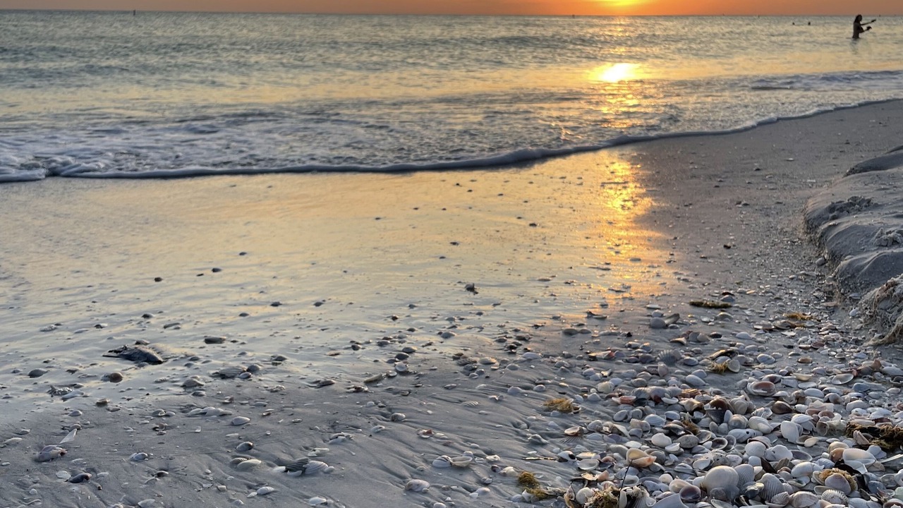 Photo of Others in Sunset Beach