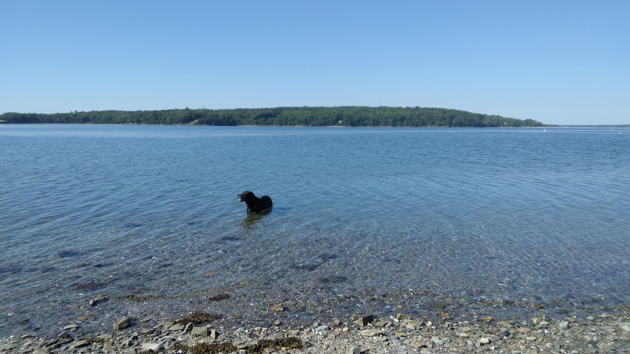 Photo of Others in Gouldsboro