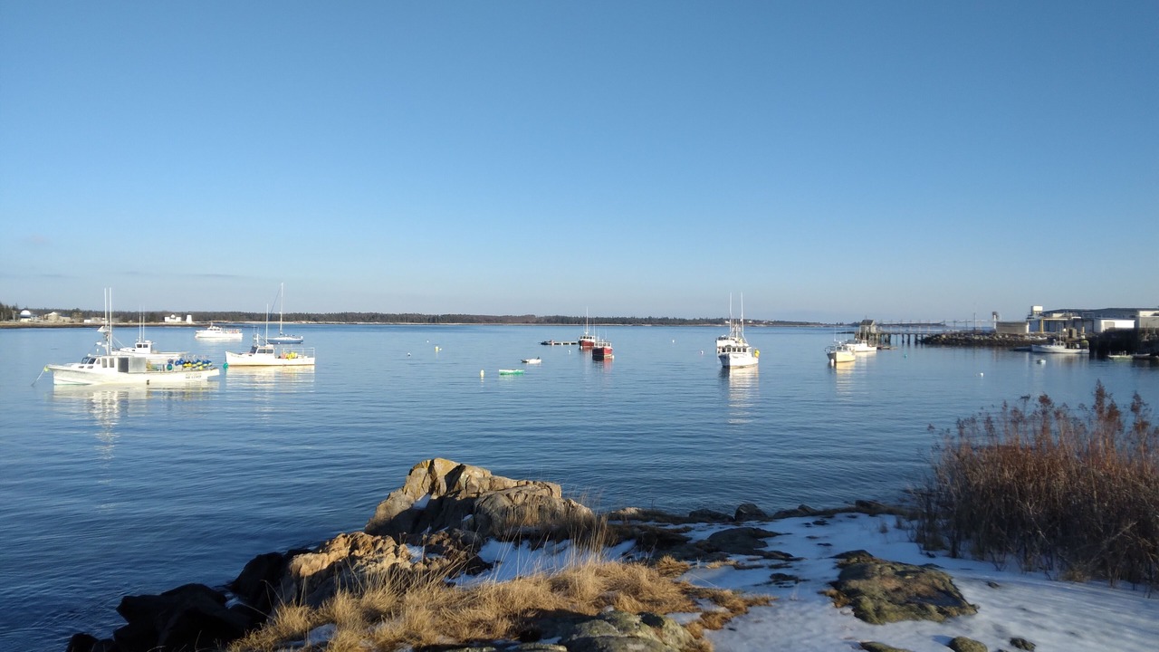 Photo of Others in Gouldsboro
