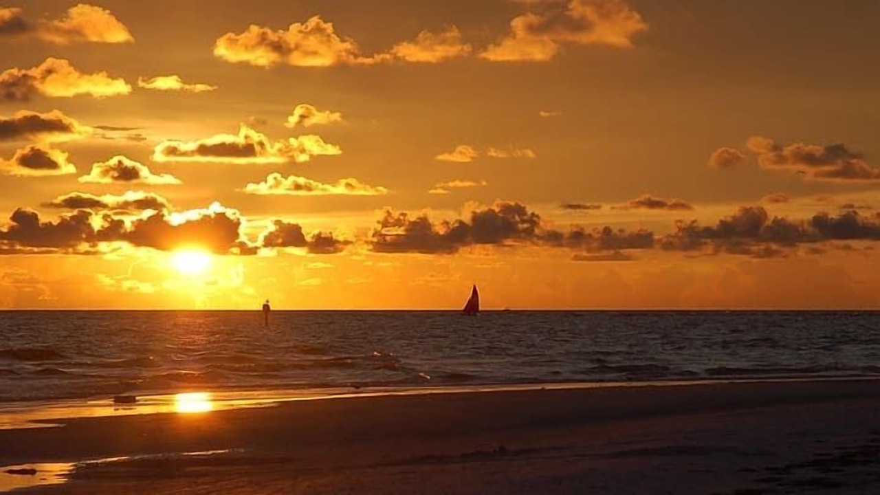 Photo of Others in Siesta Key