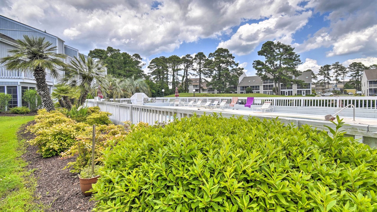 Photo of Outdoor in Little River