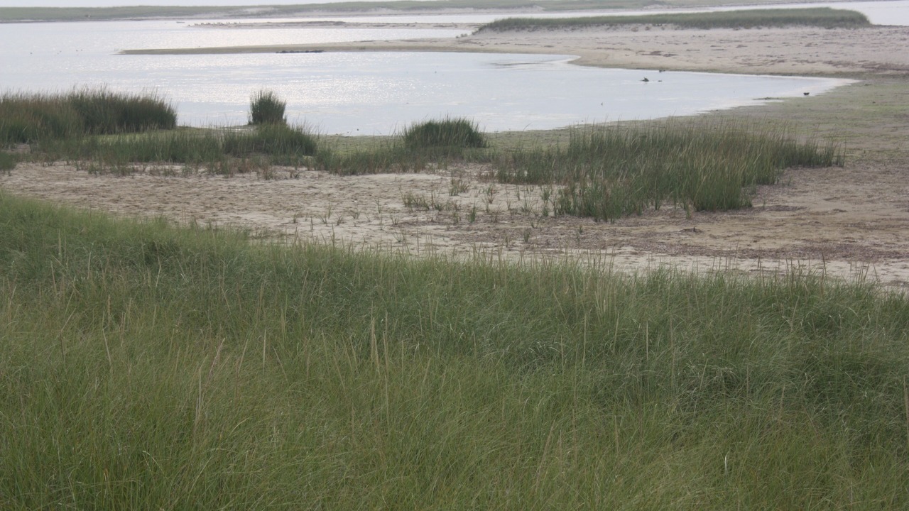 Photo of Others in Nantucket