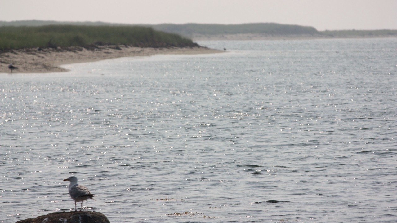 Photo of Others in Nantucket