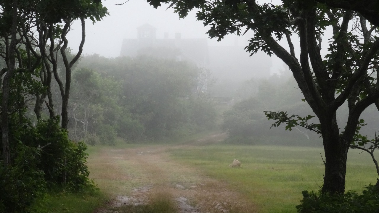 Photo of Others in Nantucket