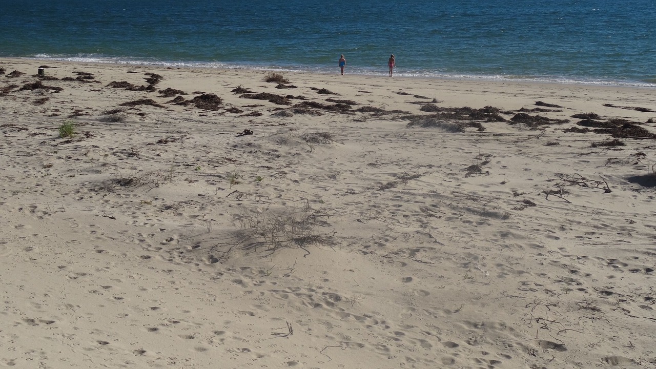 Photo of Others in Nantucket