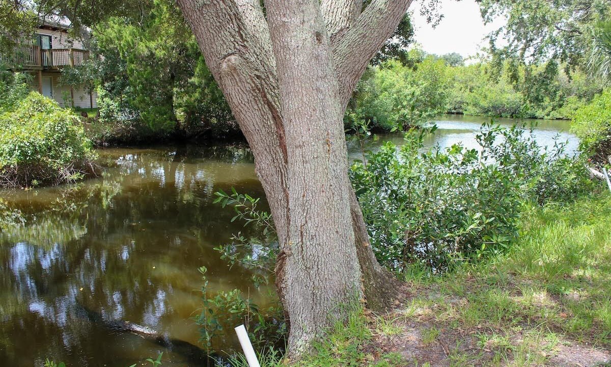 Photo of Others in Palm Harbor