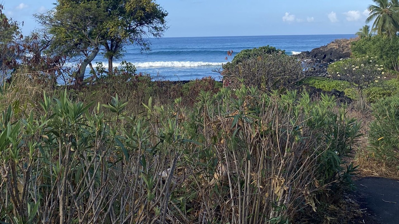 Photo of Others in Keauhou