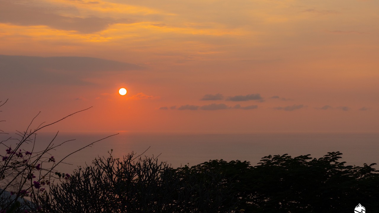 Photo of Others in Kona Paradise