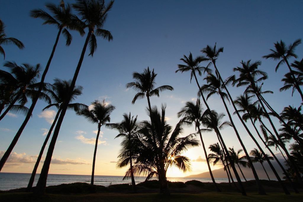 Photo of Others in Kihei