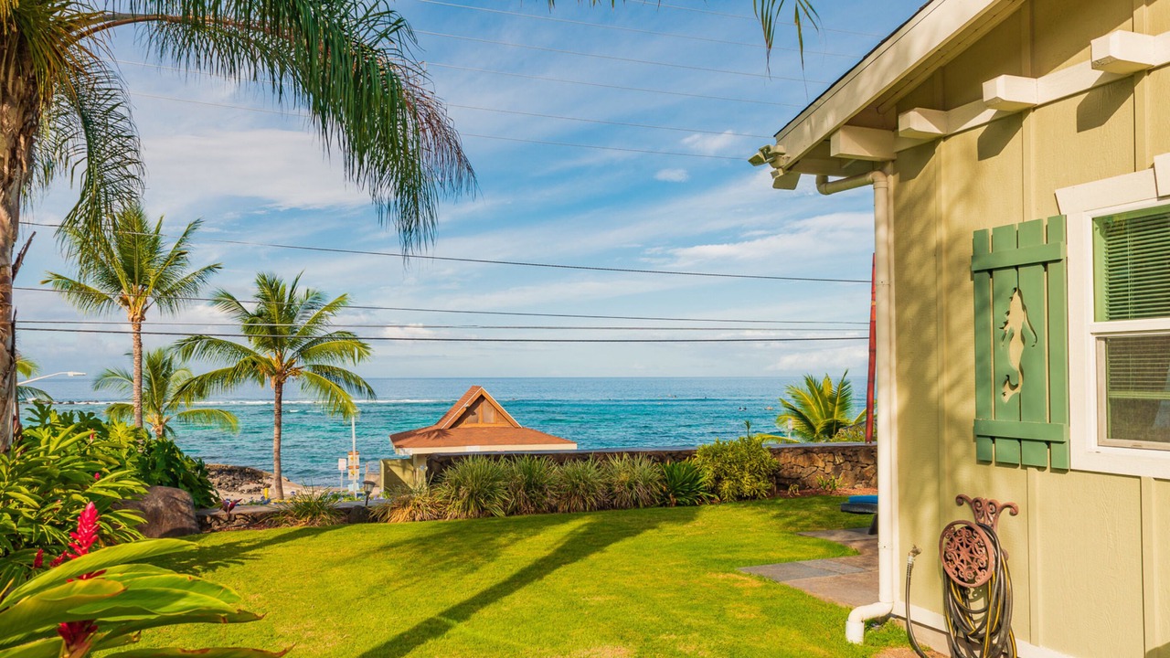 Photo of Outdoor in Kahaluu Bay