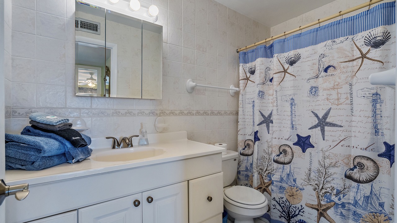 Photo of Bathroom in Treasure Island
