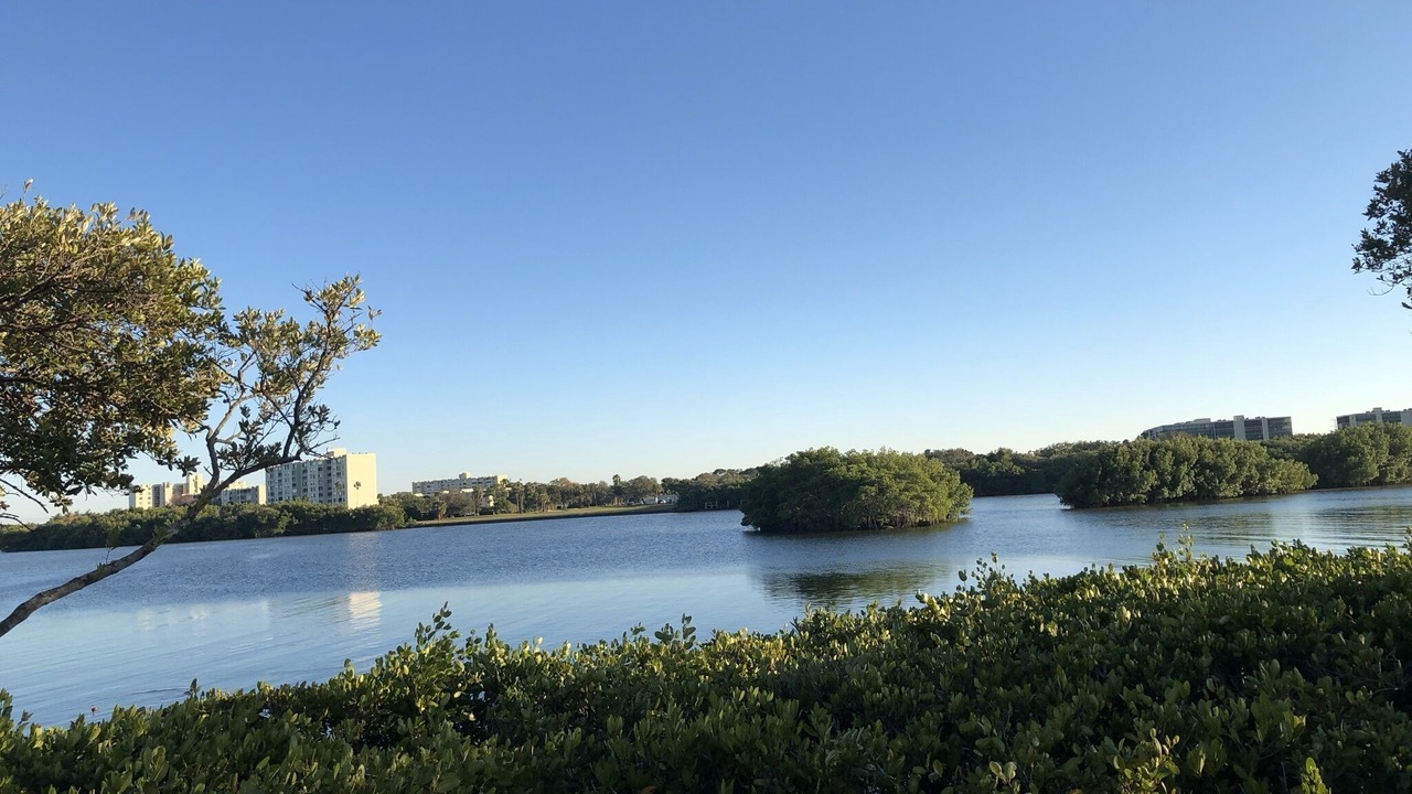 Photo of Others in Clearwater