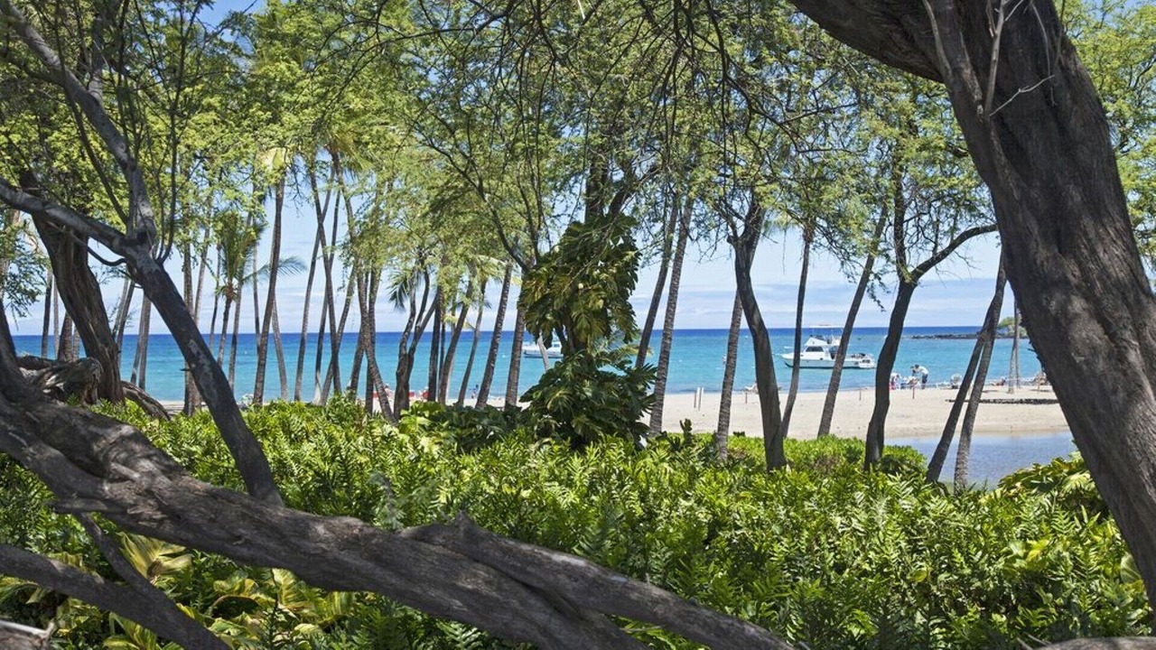 Photo of Others in Kamuela