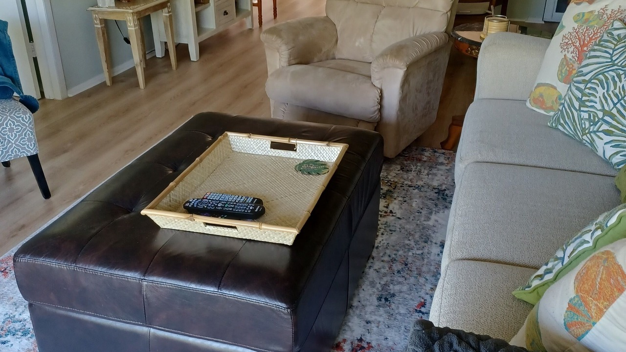 Photo of Livingroom in Pass-a-Grille