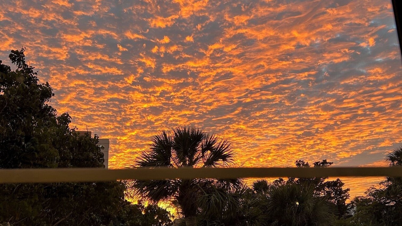 Photo of Others in Longboat Key