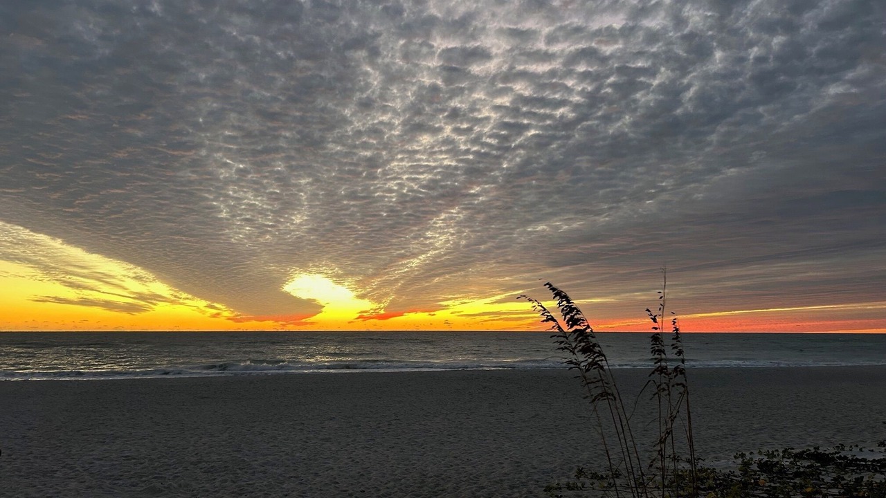 Photo of Others in Longboat Key